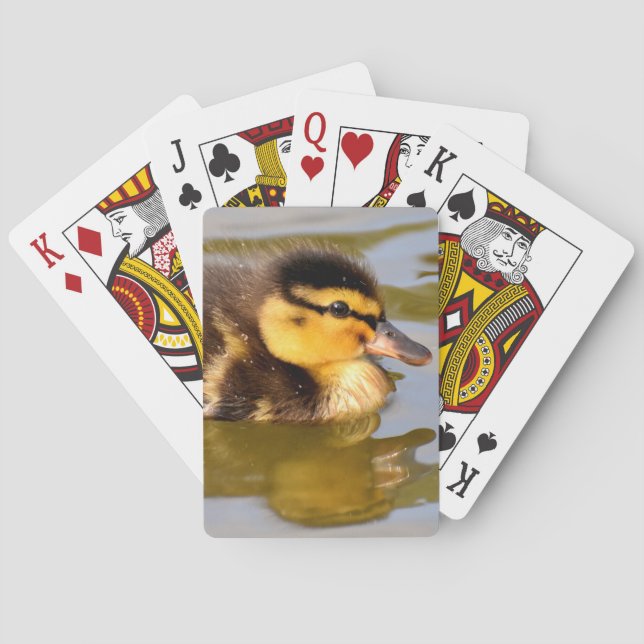 Jeu De Cartes Bébé Mallard Canard Baignade (dos)
