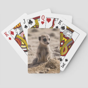Jeu De Cartes Bébé Meerkat Jouant Dans Le Sable,