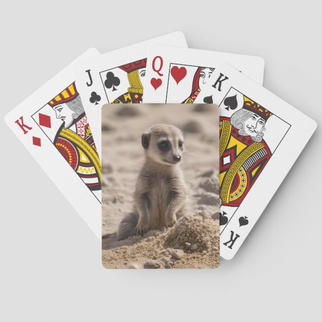 Jeu De Cartes Bébé Meerkat Jouant Dans Le Sable, (dos)