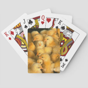 Jeu De Cartes Bébé poussins poulets poulet poulet poulet poulet