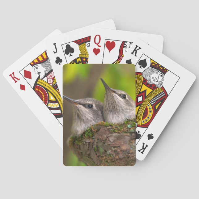 Jeu De Cartes Bébés colibris (dos)