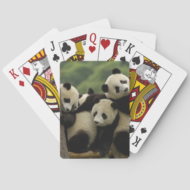 Jeu De Cartes Bébés panda géant Ailuropoda melanoleuca) (dos)
