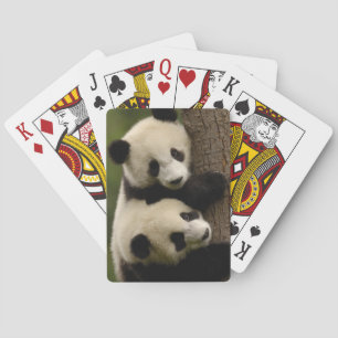 Jeu De Cartes Bébés pandas géants (Ailuropoda melanoleuca) 2