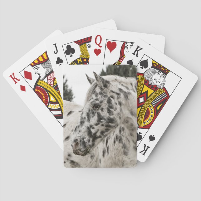 Jeu De Cartes Bel Appaloosa Horse, Ouest (dos)