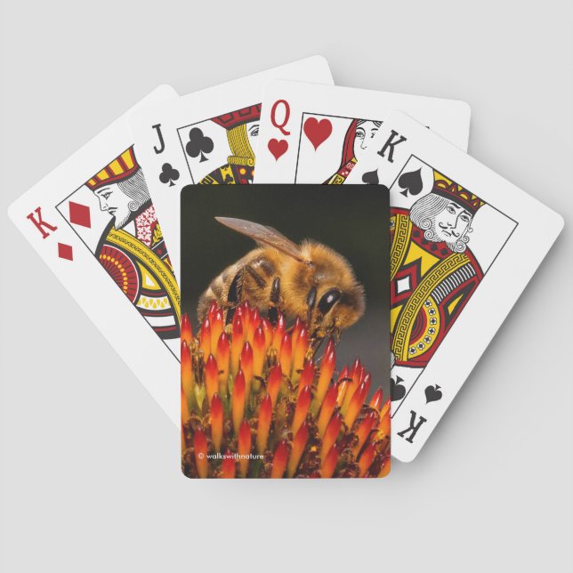 Jeu De Cartes Belle abeille de miel pollinisant un confleur (dos)