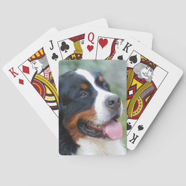 Jeu De Cartes Belle carte bernoise (dos)