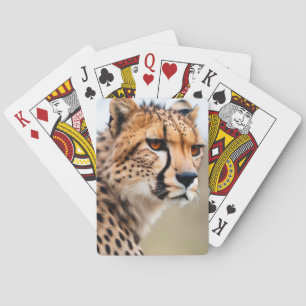Jeu De Cartes Belle Cheetah