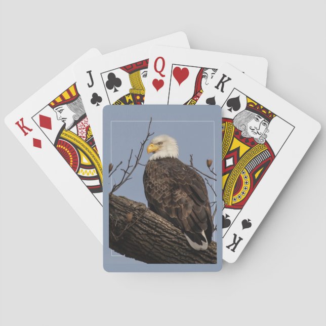 Jeu De Cartes Belle maman (Aigle) (dos)