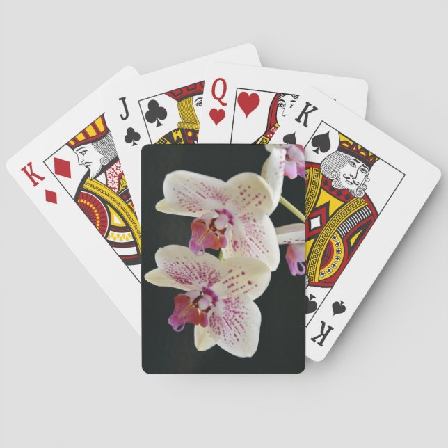 Jeu De Cartes Belle Orchidée blanche et rose avec Arrière - plan (dos)