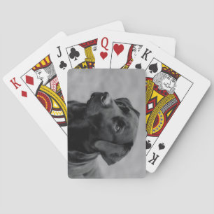 Jeu De Cartes Belle photo noir et blanc d'un Labrador noir