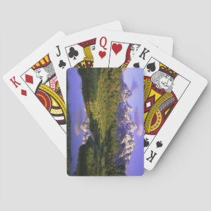 Jeu De Cartes Belle terrasse extérieure de décor de cartes de je