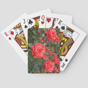 Jeu De Cartes Belles Roses, Portland, Oregon