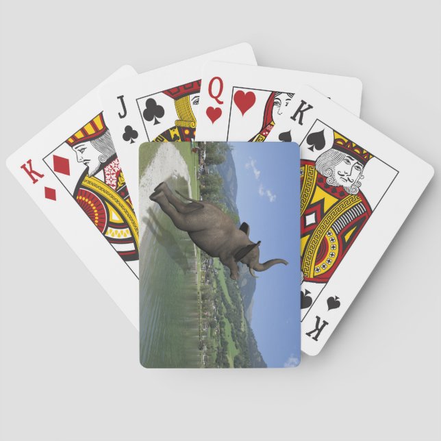 Jeu De Cartes Belly Flop Elephant (dos)