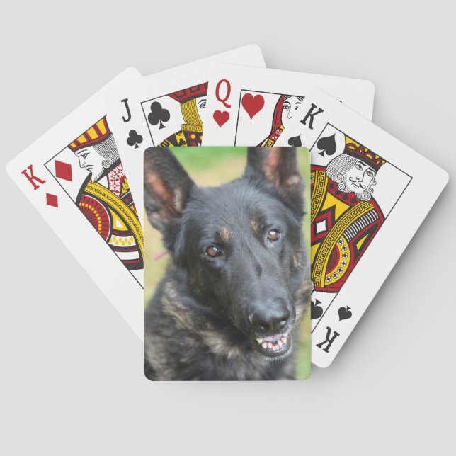 Jeu De Cartes Berger allemand (dos)