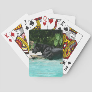 Jeu De Cartes Berger Allemand sautant dans l'eau