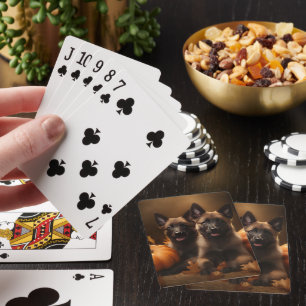 Jeu De Cartes Berger belge Chiot Automne Citrouille de plaisir