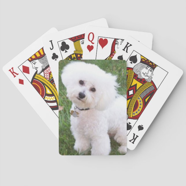 Jeu De Cartes Bichon Frise Dog Playing Cards (dos)