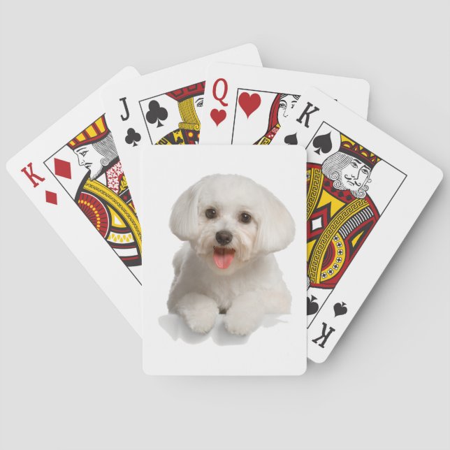 Jeu De Cartes Bichon Frise Puppy (dos)