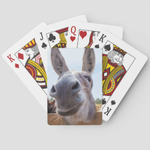 Jeu De Cartes Bicycle âne souriant avec Grin soyeux sur le visag
