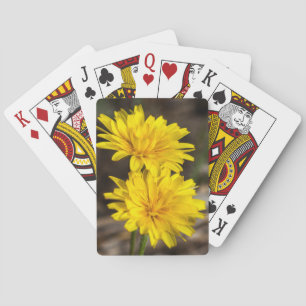 Jeu De Cartes Big Pine Creek, coteau, Sierra Nevada orientale