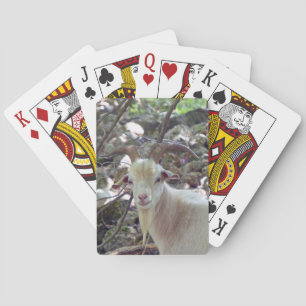 Jeu De Cartes Billy Goat