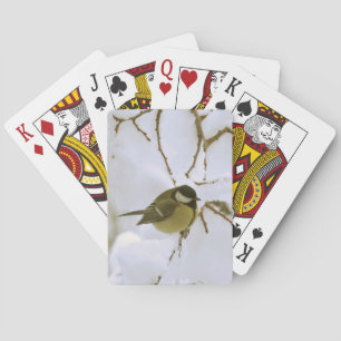 Jeu De Cartes Bird Snow Classic Jouer Cartes