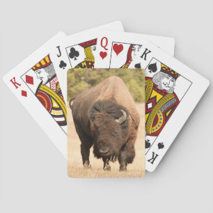 Jeu De Cartes Bison