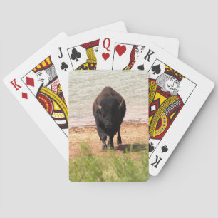 Jeu De Cartes Bison à l'eau
