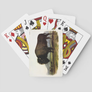 Jeu De Cartes Bison américain, ou bison (bison) - Audubon
