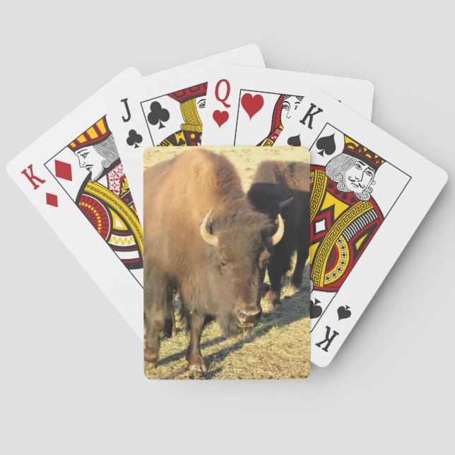 Jeu De Cartes Bison dans le Colorado (dos)
