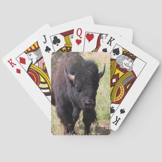 Jeu De Cartes Bison de près (dos)