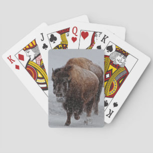 Jeu De Cartes Bison de Yellowstone