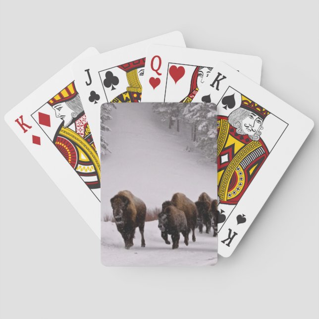 Jeu De Cartes Bison en hiver (dos)