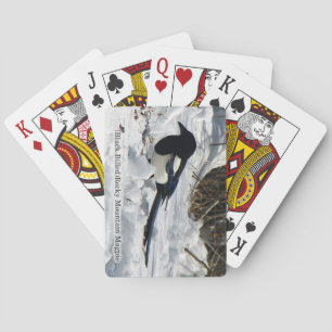 Jeu De Cartes Black Billed Rocky Mountain Magpie jouer cartes