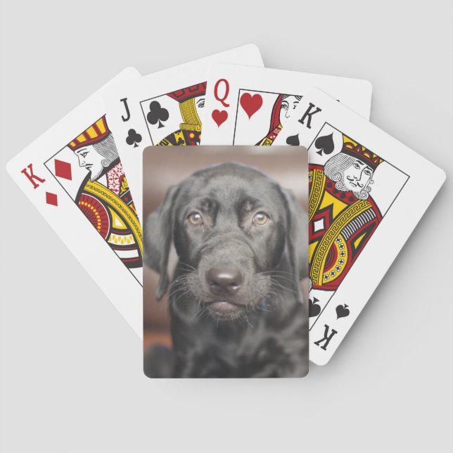 Jeu De Cartes Black Labrador Retriever Puppy Dog (dos)