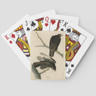 Jeu De Cartes Black Warrior (Buse à queue rouge) d'Audubon Birds
