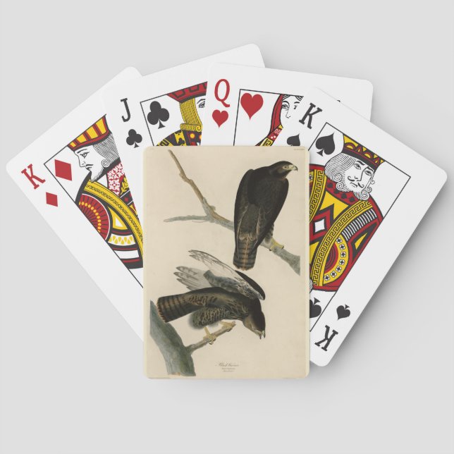 Jeu De Cartes Black Warrior (Buse à queue rouge) d'Audubon Birds (dos)