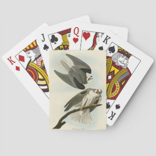 Jeu De Cartes Black Winged Hawk - Audubon's Birds of America