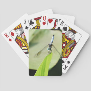Jeu De Cartes Bleu libellule sur une feuille verte