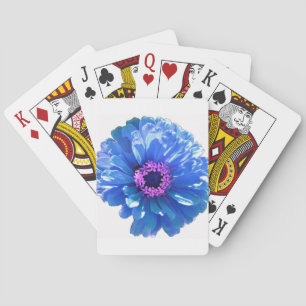 Jeu De Cartes Bleu marguerite bleu photo florale