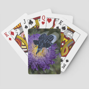 Jeu De Cartes Bleu Rare Elephant Bug
