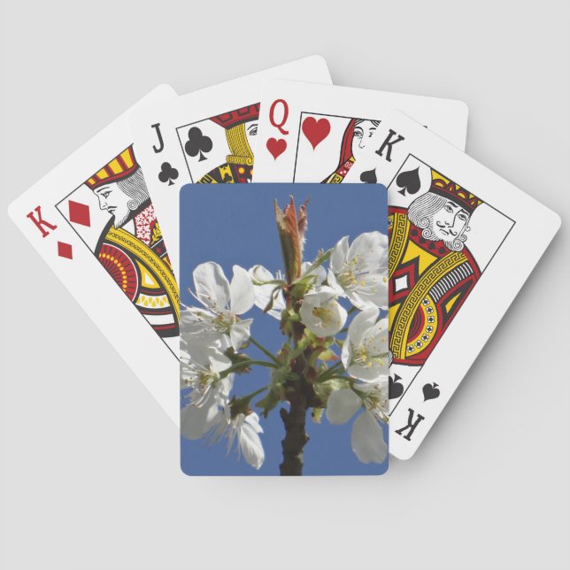 Jeu De Cartes Bloom du printemps blanc (dos)