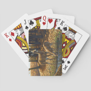Jeu De Cartes Boire de la viande blanche et de la faune à partir