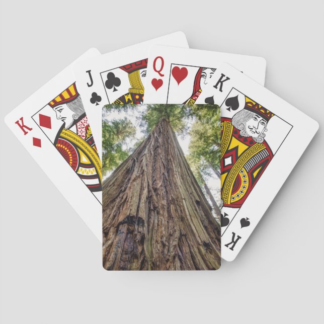 Jeu De Cartes Bois de Roosevelt (dos)