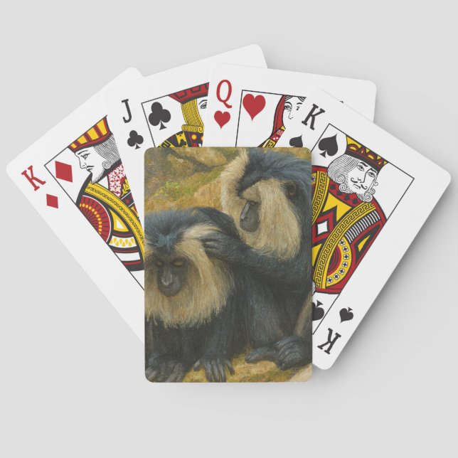 Jeu De Cartes Bond Macaque - Rituel Grooming (dos)