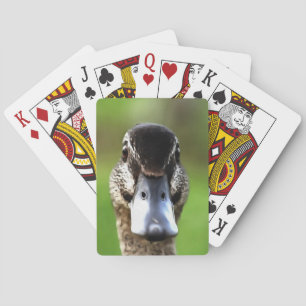 Jeu De Cartes Bonjour Ducky Quirky Duck Portrait