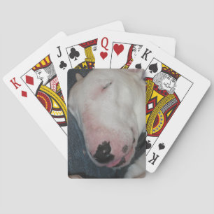 Jeu De Cartes Bonne Nuit, Dors Bien, Chien Ridicule