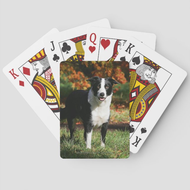 Jeu De Cartes Border Collie Autumn Standing (dos)