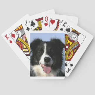 Jeu De Cartes Border Collie Dog Playing Cards