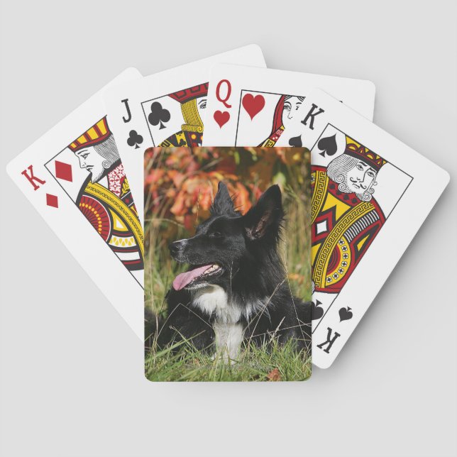 Jeu De Cartes Border Collie Panting Laying (dos)